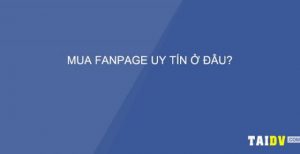 5 Dịch Vụ Được Quan Tâm Nhiều Nhất Tại TAIDV.COM