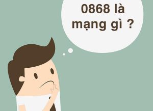 Đầu số 0868 của mạng nào, có ý nghĩa là gì? Tại sao lại được chọn dùng nhiều đến vậy