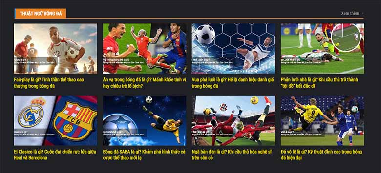 Box Bóng Đá – Khi niềm đam mê túc cầu hội tụ trong một trang web 